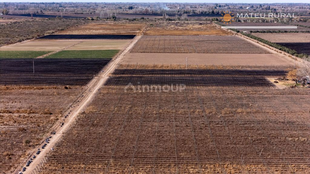 Finca en Venta en Lujan de Cuyo, Mendoza
