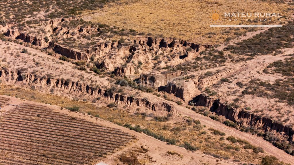 Finca en Venta en Lujan de Cuyo, Mendoza