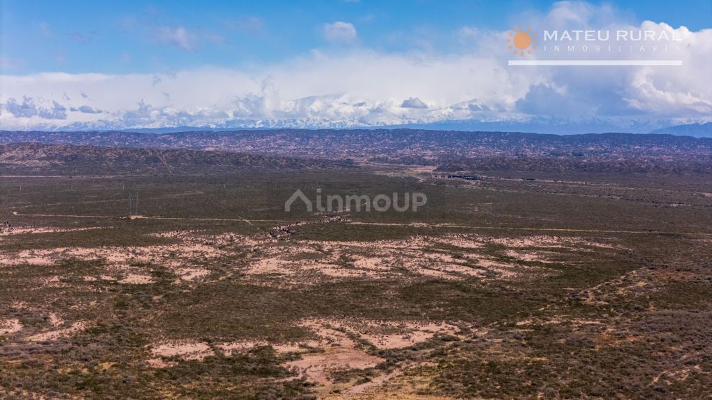 Finca en Venta en Lujan de Cuyo, Mendoza