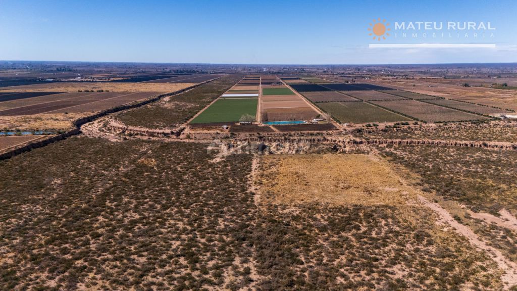 Finca en Venta en Lujan de Cuyo, Mendoza