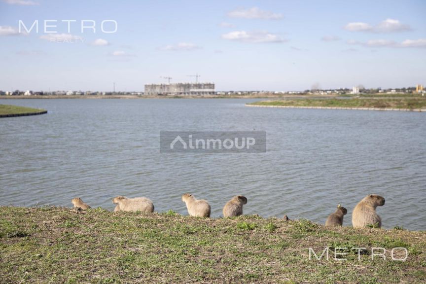 Terreno en Venta en Tigre, G.B.A. Zona Norte