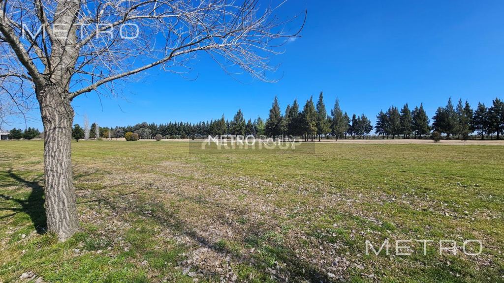 Terreno en Venta en San Vicente, G.B.A. Zona Sur