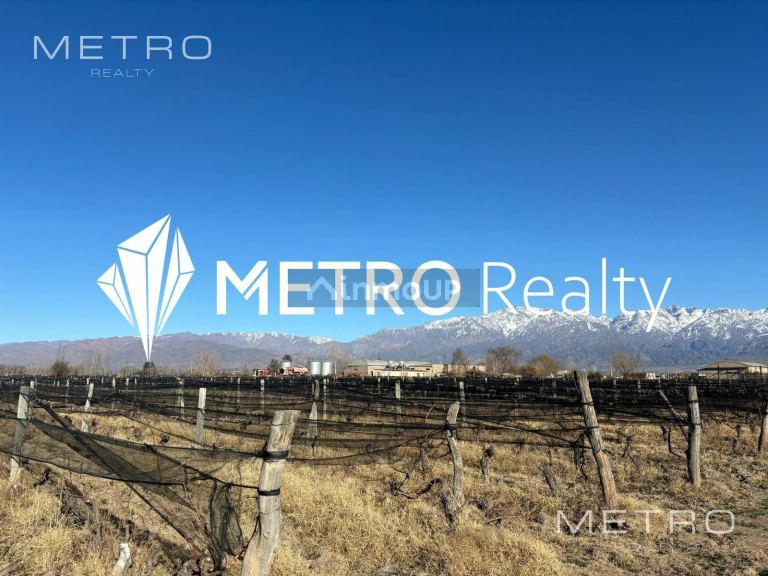 Finca en Venta en San Carlos, Mendoza