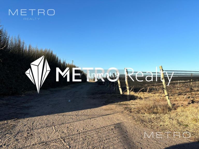 Finca en Venta en San Carlos, Mendoza