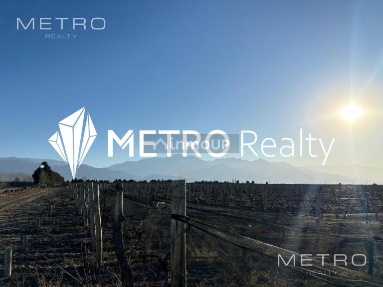 Finca en Venta en San Carlos, Mendoza
