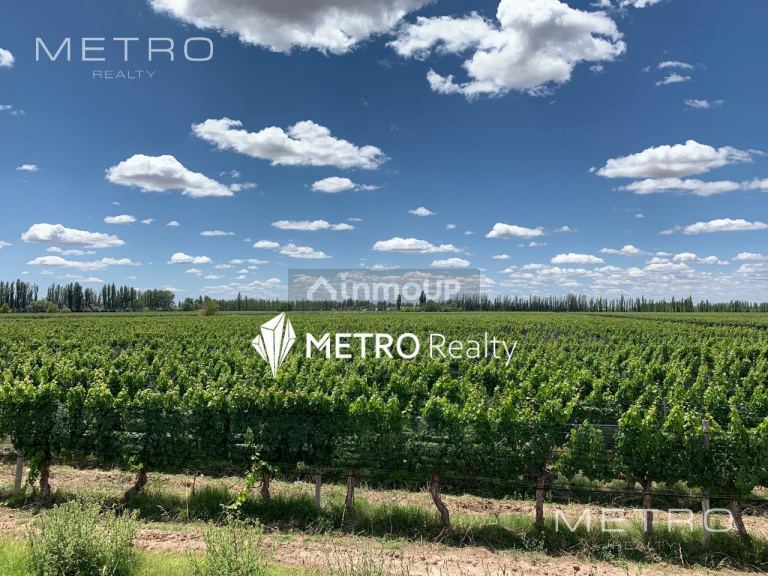 Finca en Venta en San Rafael, Mendoza