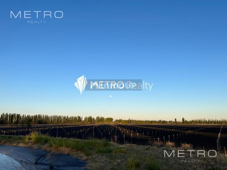 Finca en Venta en San Rafael, Mendoza