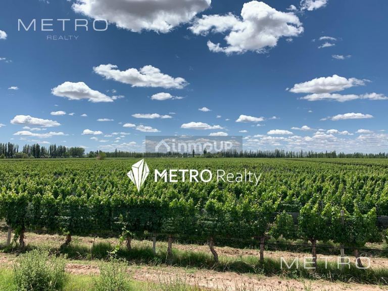 Finca en Venta en San Rafael, Mendoza