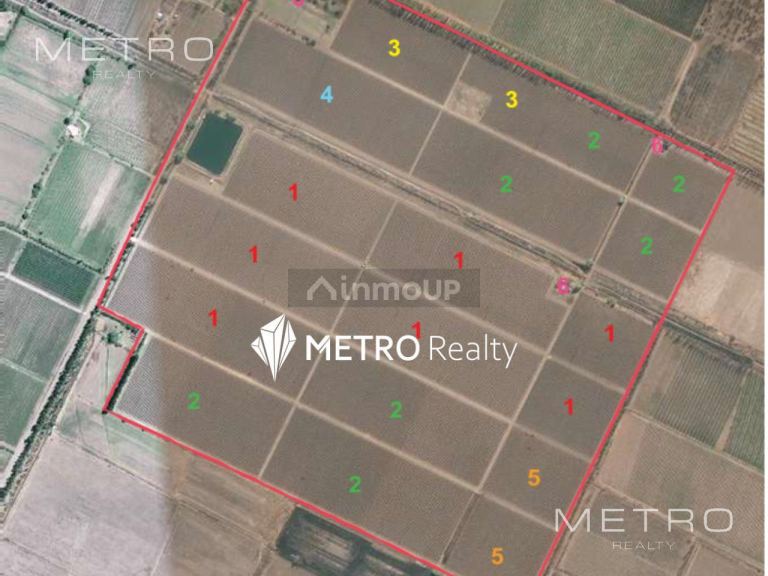 Finca en Venta en San Rafael, Mendoza