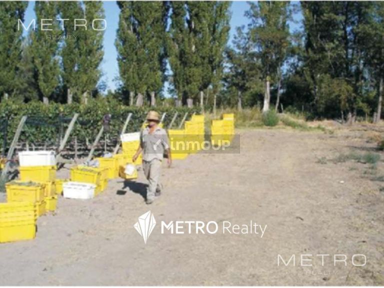 Finca en Venta en San Rafael, Mendoza