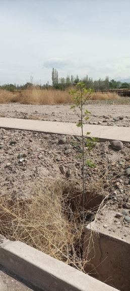 Lote en Venta en Maipu, Mendoza