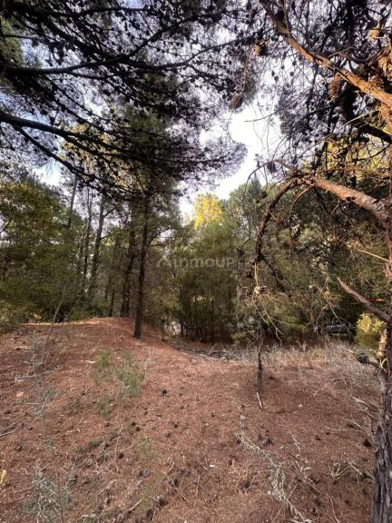 Terreno en Venta en Monte Hermoso, Buenos Aires Costa Atlantica