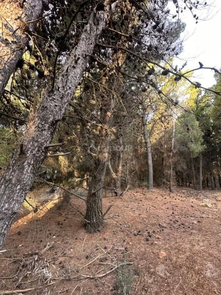 Terreno en Venta en Monte Hermoso, Buenos Aires Costa Atlantica