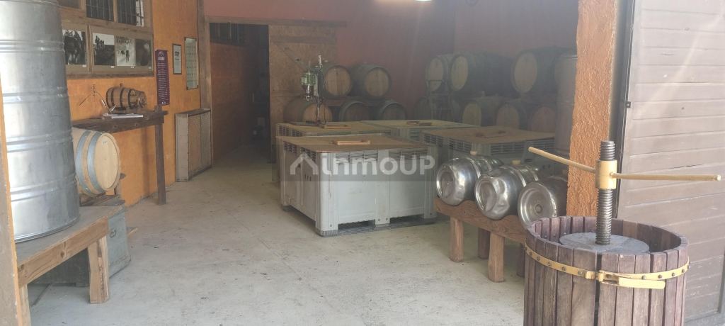 Bodega con Viñedo en Venta en Lujan de Cuyo, Mendoza
