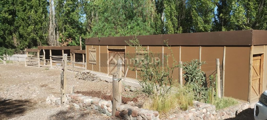 Bodega con Viñedo en Venta en Lujan de Cuyo, Mendoza