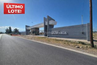 Maipu Distrito Azcuenaga