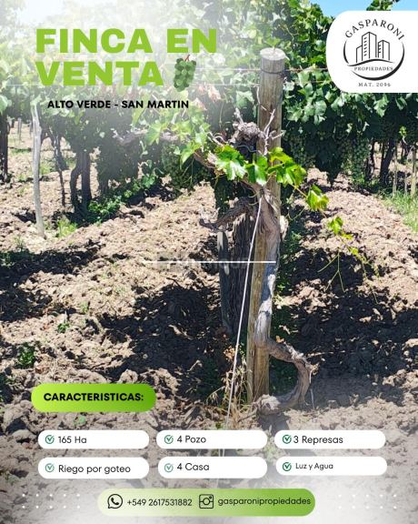 Finca en Venta en San Martin, Mendoza