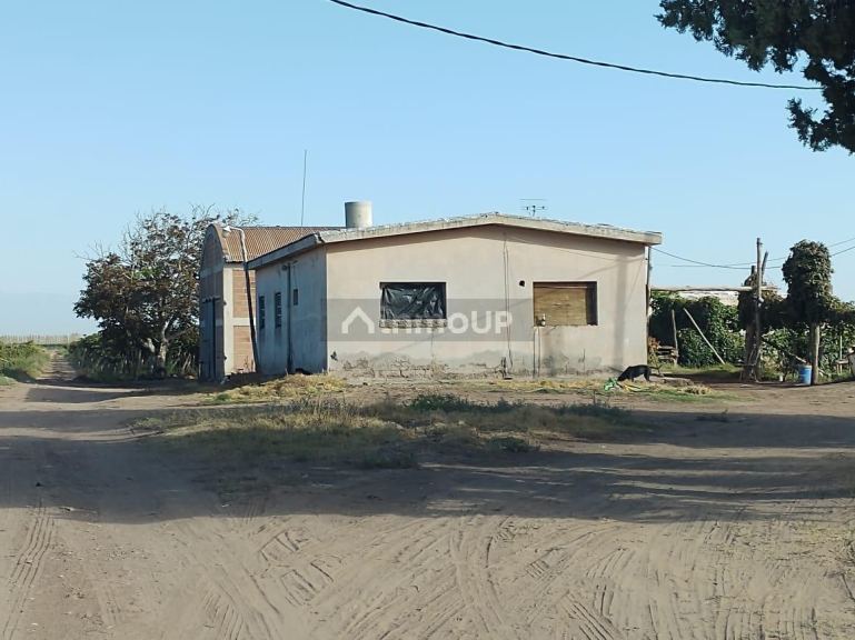 Viñedo en Venta en San Martin, Mendoza