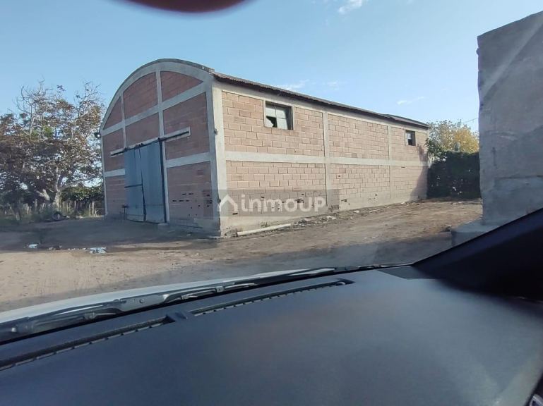 Viñedo en Venta en San Martin, Mendoza