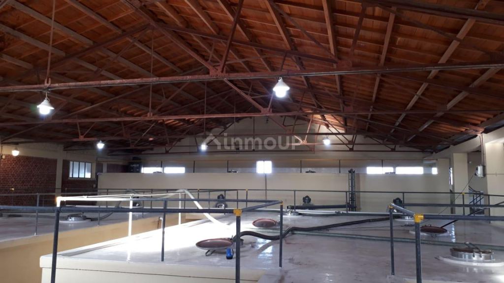 Bodega con Viñedo en Venta en San Martin, Mendoza