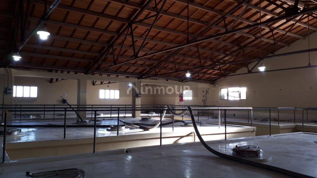 Bodega con Viñedo en Venta en San Martin, Mendoza