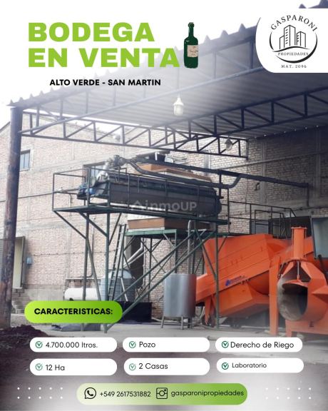 Bodega con Viñedo en Venta en San Martin, Mendoza