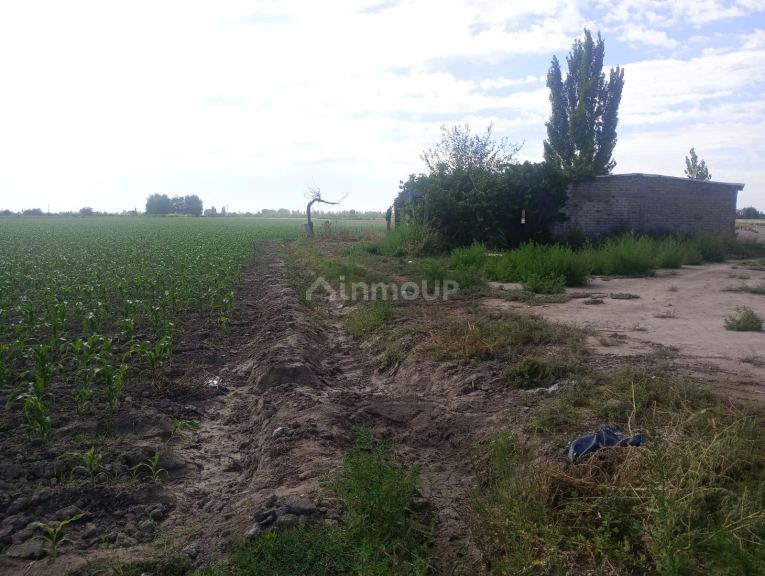 Finca en Venta en Maipu, Mendoza