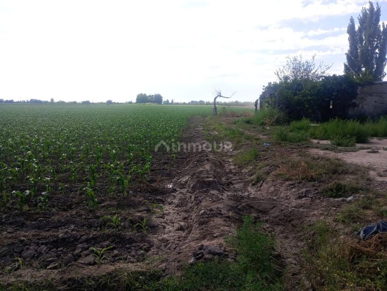 Finca en Venta en Maipu, Mendoza