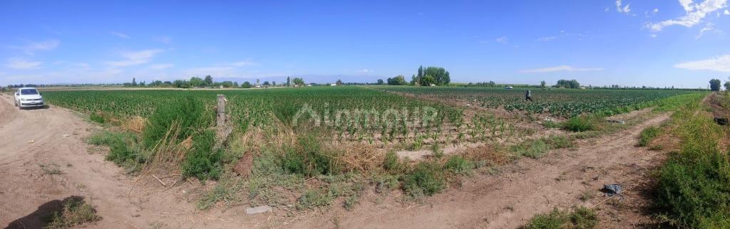 Finca en Venta en Maipu, Mendoza