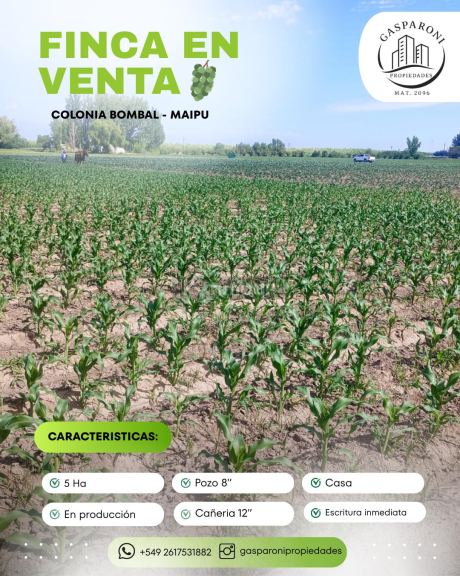 Finca en Venta en Maipu, Mendoza
