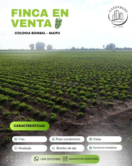 Finca en Venta en Guaymallen, Mendoza