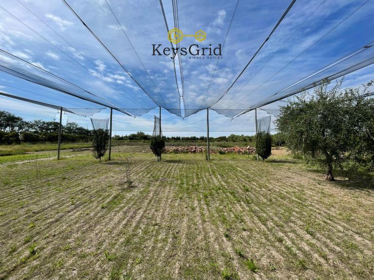 Lote en Venta en Junin, Mendoza