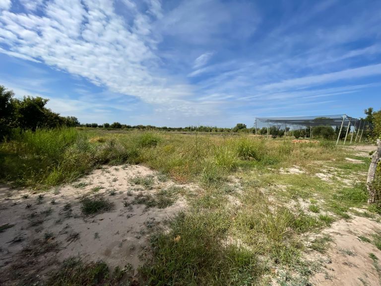 Lote en Venta en Junin, Mendoza