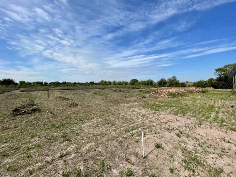 Lote en Venta en Junin, Mendoza