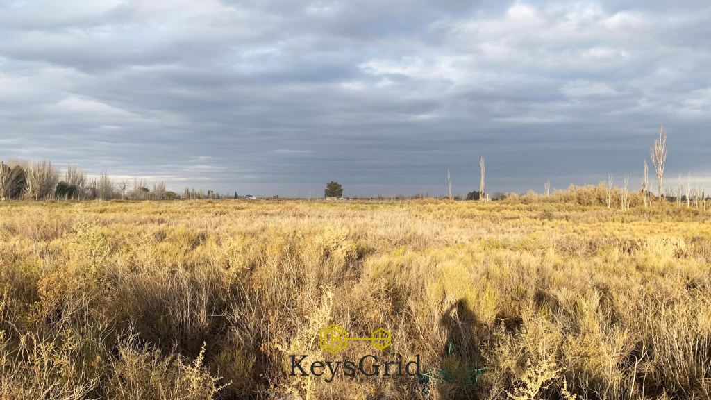 Terreno en Venta en San Martin, Mendoza