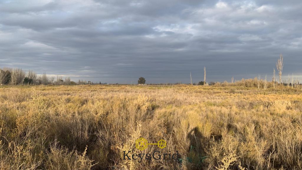 Terreno en Venta en San Martin, Mendoza