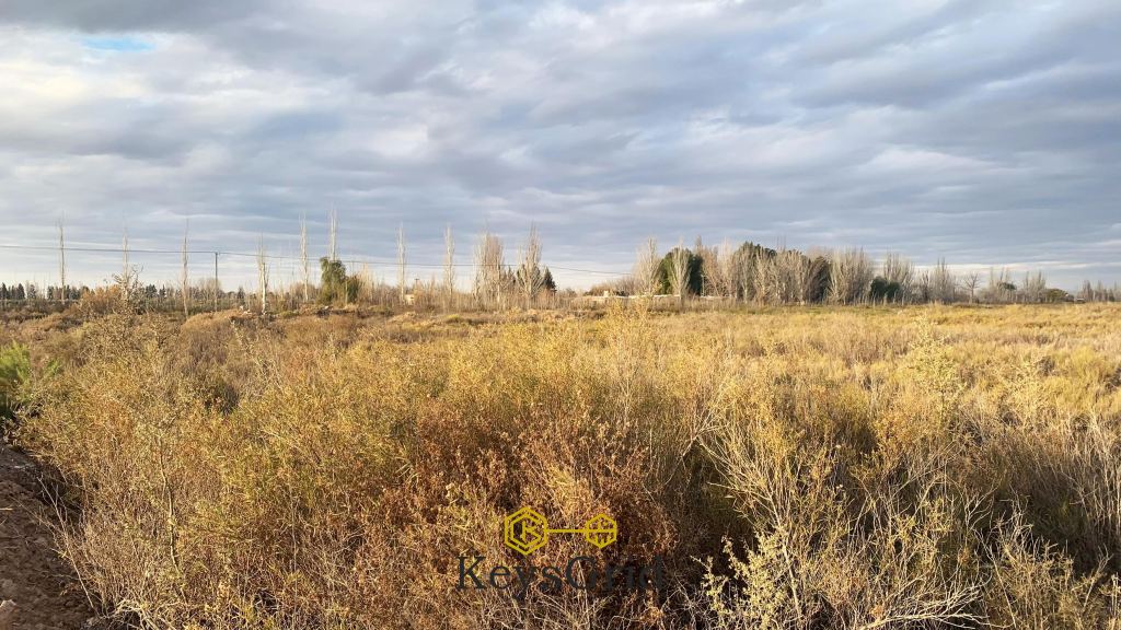 Terreno en Venta en San Martin, Mendoza