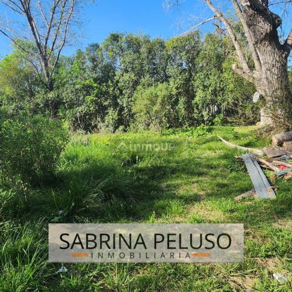 Terreno en Venta en General Rodriguez, G.B.A. Zona Oeste