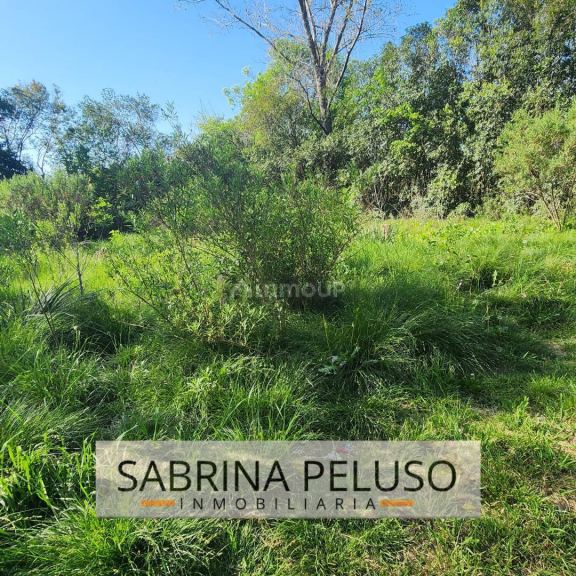 Terreno en Venta en General Rodriguez, G.B.A. Zona Oeste
