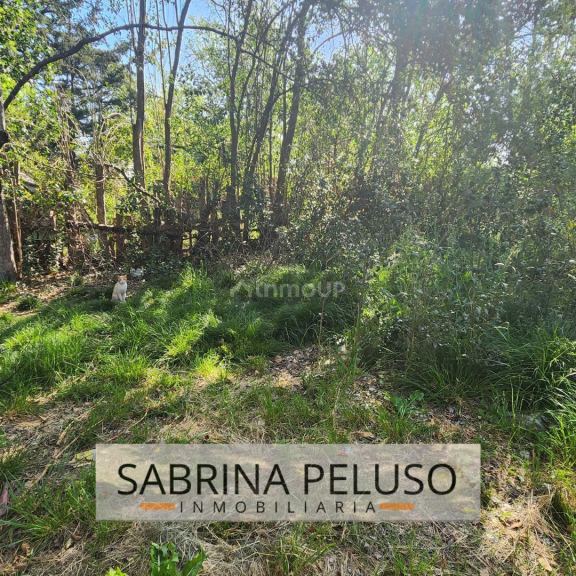Terreno en Venta en General Rodriguez, G.B.A. Zona Oeste