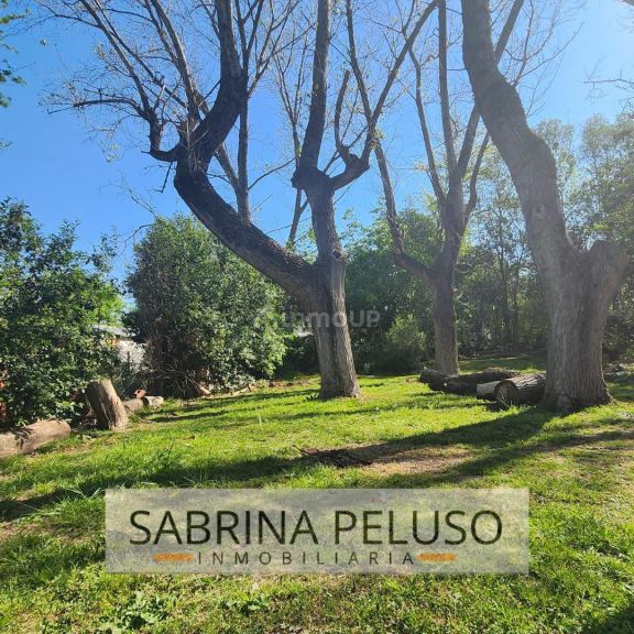 Terreno en Venta en General Rodriguez, G.B.A. Zona Oeste