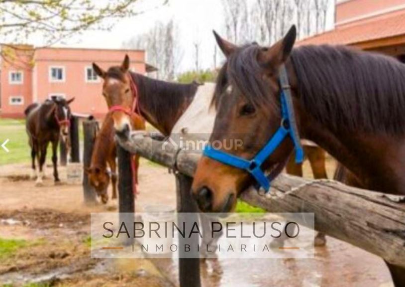 Terreno en Venta en Pilar, G.B.A. Zona Norte