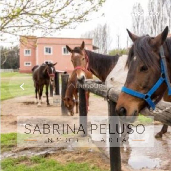 Terreno en Venta en Pilar, G.B.A. Zona Norte