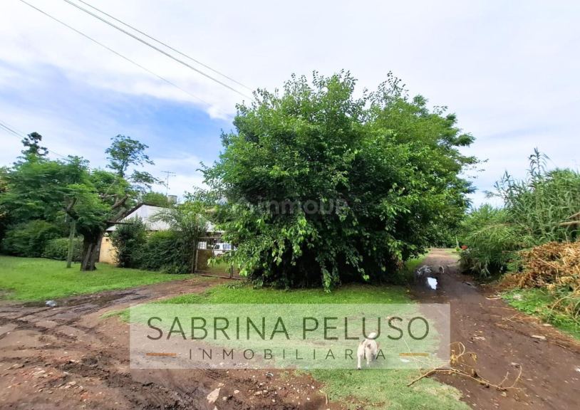 Terreno en Venta en General Rodriguez, G.B.A. Zona Oeste