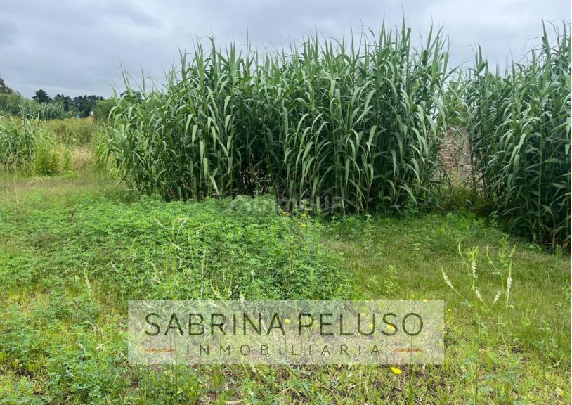Terreno en Venta en Moreno, G.B.A. Zona Oeste
