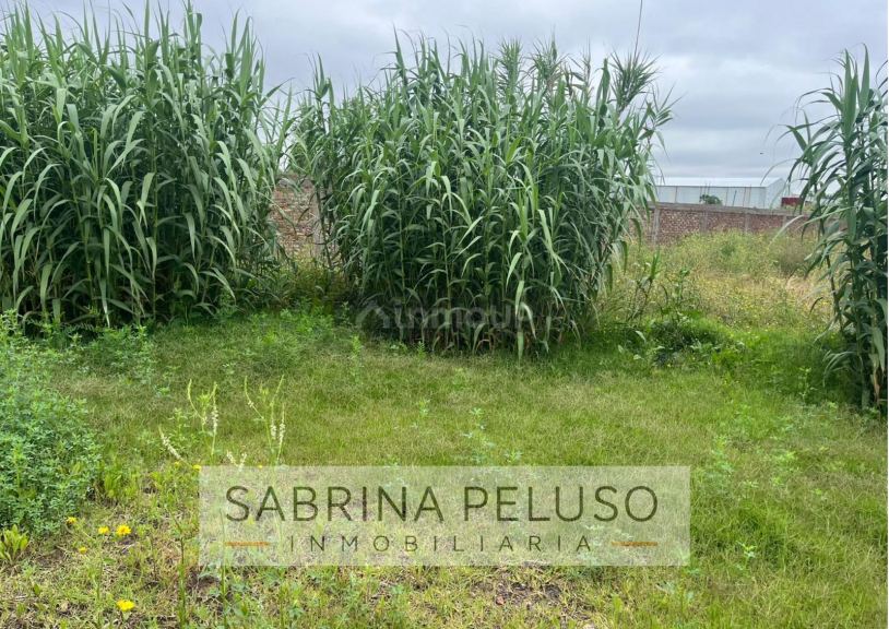 Terreno en Venta en Moreno, G.B.A. Zona Oeste