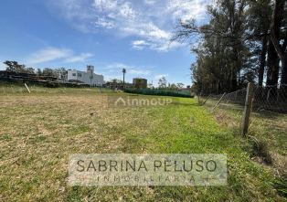 Merlo Francisco de Viedma al 2700