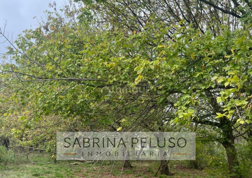 Terreno en Venta en Moreno, G.B.A. Zona Oeste