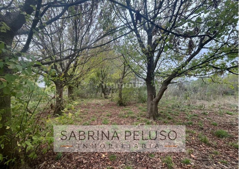 Terreno en Venta en Moreno, G.B.A. Zona Oeste
