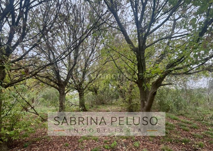 Terreno en Venta en Moreno, G.B.A. Zona Oeste